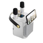 High Power Karaoke Bluetooth Speaker with Dual Microphone-0