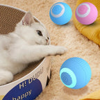 Smart interactive cat ball