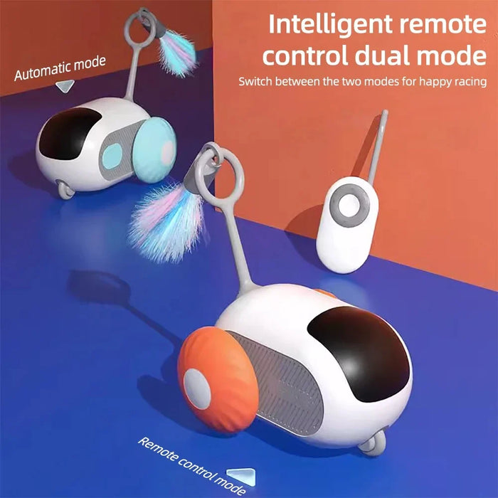 Smart interactive cat car