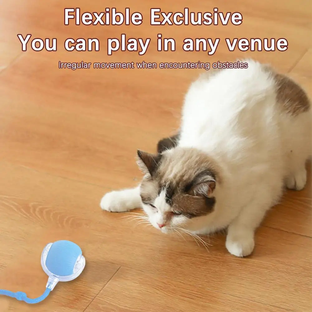 Rechargeable Smart Cat Toy Ball-1