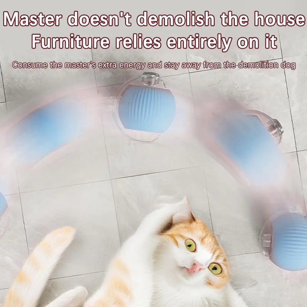 Rechargeable Smart Cat Toy Ball-4