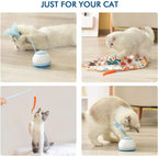Smart Cat Toys-4
