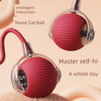 Smart Interactive Cat Teasing Ball-0