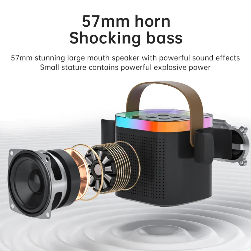 Portable Bluetooth Karaoke Speaker System with Microphones-2