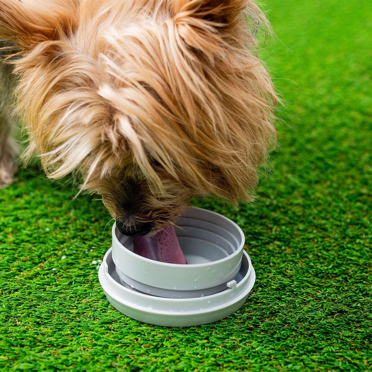 Correa Retráctil para Perros 6 en 1 Leashic – Multifunción y Seguridad en tus Paseos