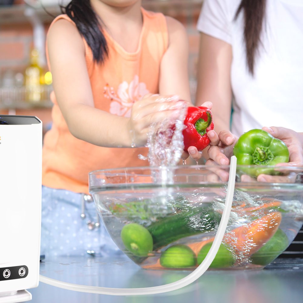 Generador de Ozono para Aire y Agua con Ionizador – Purificador Multifunción para Hogar