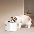PETKIT EverSweet Max 2 UVC pet water fountain