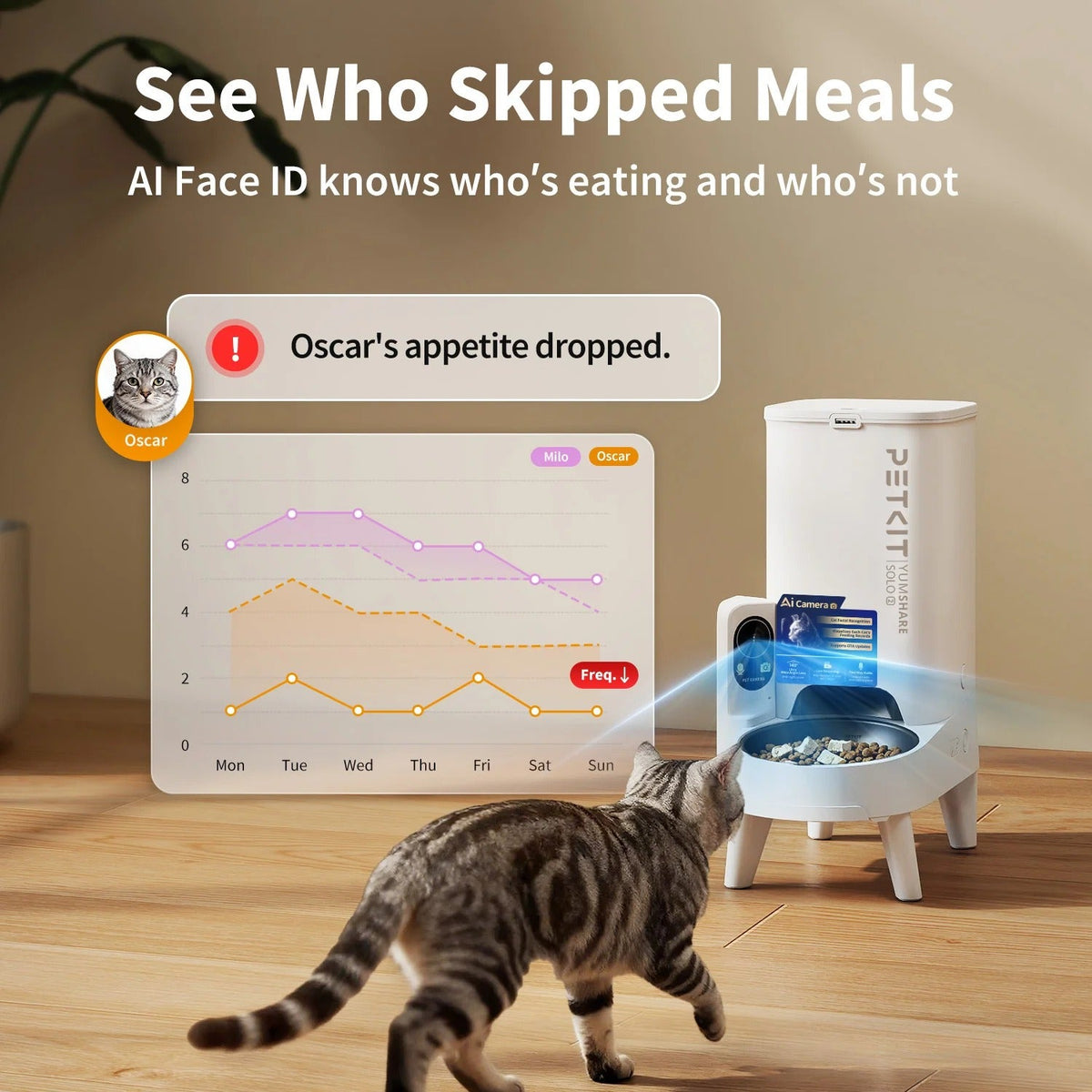 Comedero automático con cámara PETKIT YumShare Solo 2